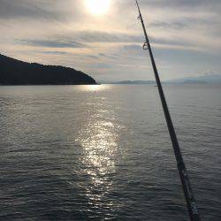 小浜方面アオリエギング&ウマズラ釣り