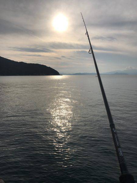 小浜方面アオリエギング&ウマズラ釣り