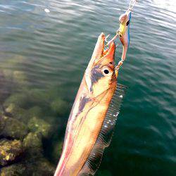 バーサー求めて