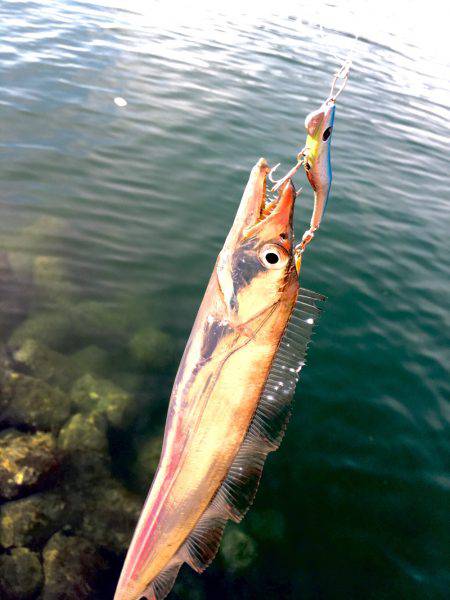 バーサー求めて