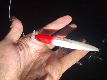 ナイトウェーディング