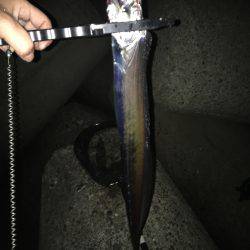 ライトショアジギンク