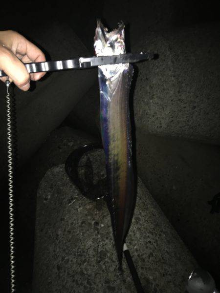 ライトショアジギンク