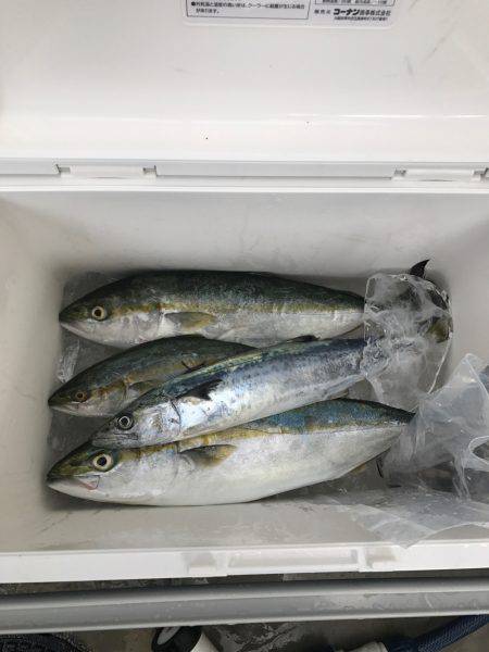 ライトショアジギング