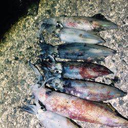 一投目から……