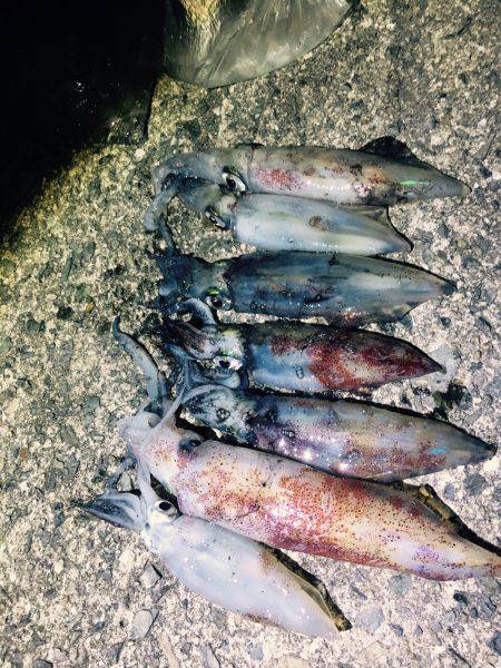 一投目から......