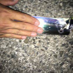 タチウオゲキ渋