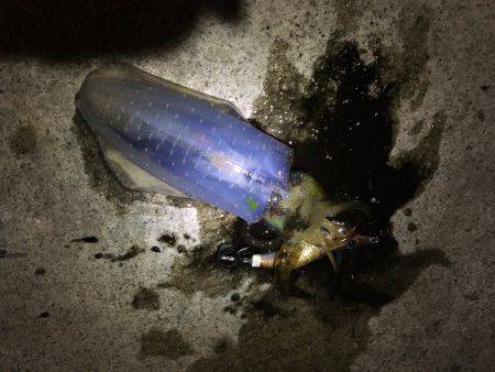 ライト、ライト