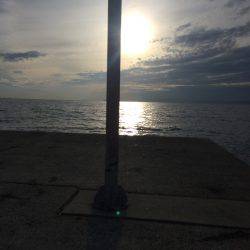 ワインド タチウオ