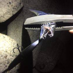 台風前タチウオ