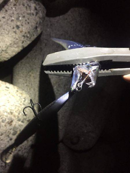 台風前タチウオ