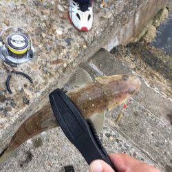 ヤッパリ奴は裏切らない