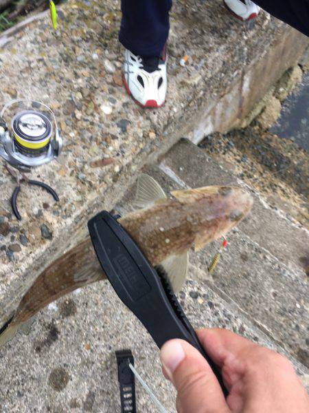 ヤッパリ奴は裏切らない