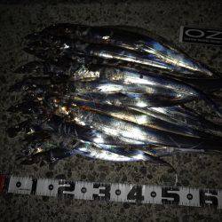 とうとう爆りました!