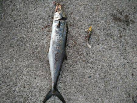 台風一過後のお祭りワッショイ