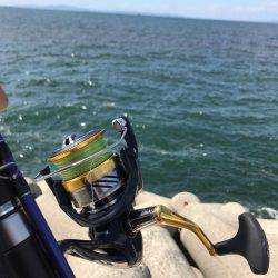 台風後のショアジギ