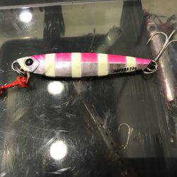 タチウオなかなか