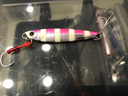 タチウオなかなか