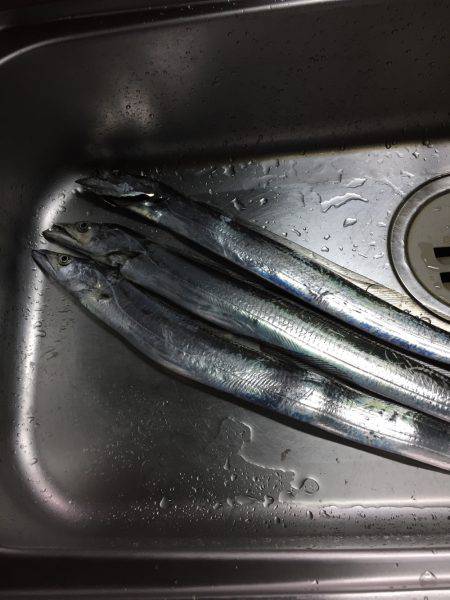 今日は時合いが早かった