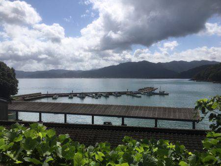 台風直後のエギング