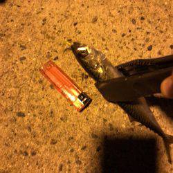 神戸周りアジング