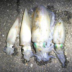 風が気になりましたが何とか…