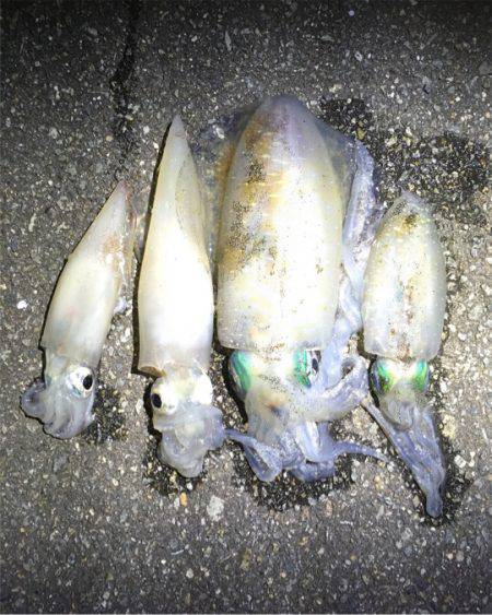 風が気になりましたが何とか…