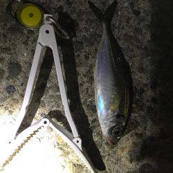 会社帰りに(oﾟ3ﾟb)b