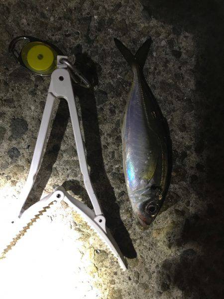 会社帰りに(oﾟ3ﾟb)b