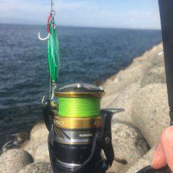 ナブラ打ちでツバス