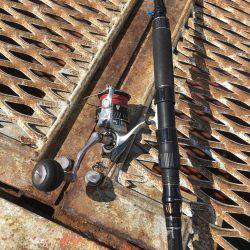 恒例のハマチからの〜アオリイカ❗️