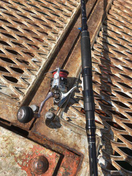 恒例のハマチからの〜アオリイカ❗️