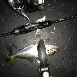 プロトアジング