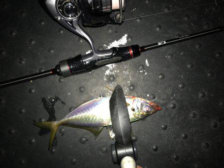 プロトアジング