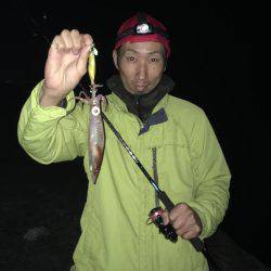 イカ調査釣行〜朝まずめ青物