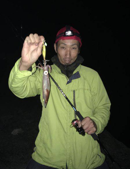 イカ調査釣行〜朝まずめ青物