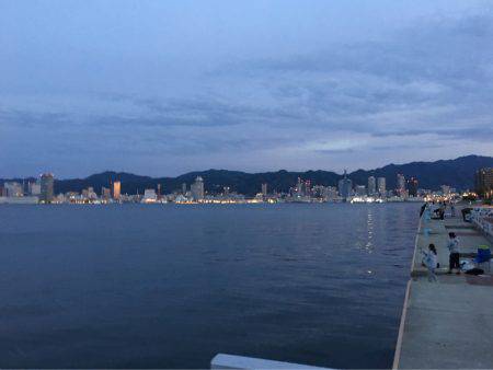 ポートアイランド タチウオ