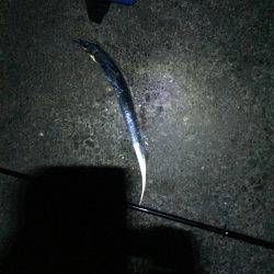 一年ぶりの食品コンビナート