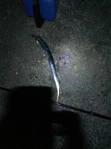 一年ぶりの食品コンビナート