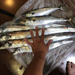 爆風＋小雨でしたが、、