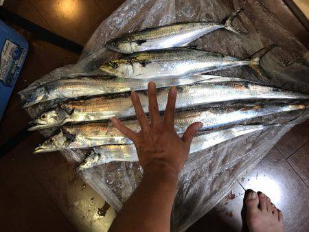 爆風＋小雨でしたが、、