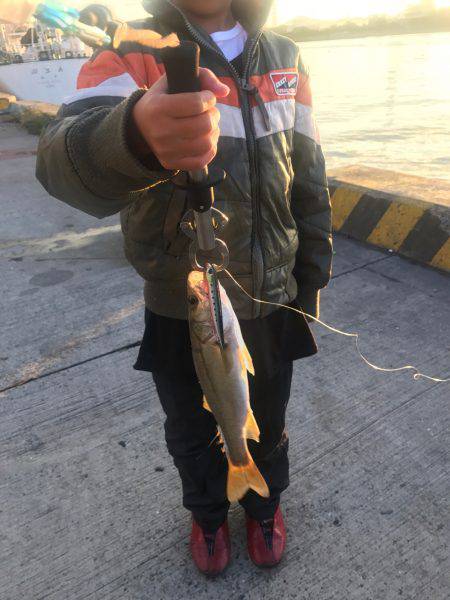 子供とシーバス釣り