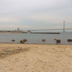 ファミリーフィッシング？