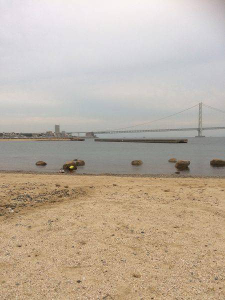 ファミリーフィッシング？