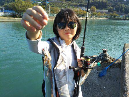 タチウオ炙り♪