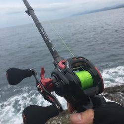 世界遺産鬼ヶ城にて