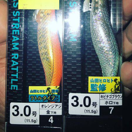 濁り&ゴミ浮遊の中、アオリイカげGET