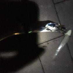 人生初タチウオ