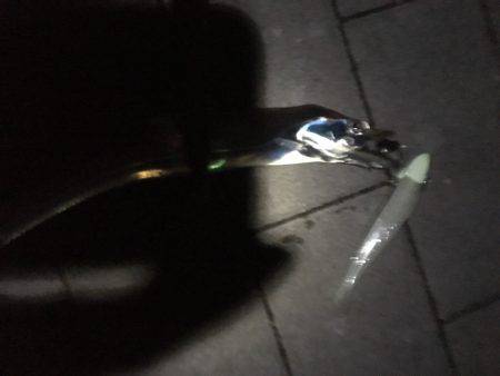 人生初タチウオ