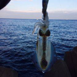 当たり日でした。